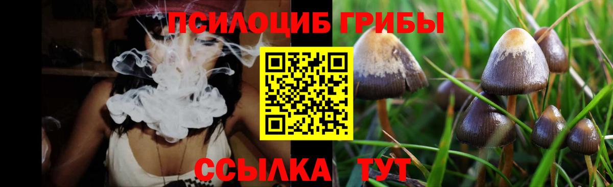 Старая Купавна  Псилоцибиновые грибы Magic Shrooms  Вход с VPN 